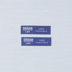 EBiDAN Visual Dictionary チェキ応募券 Lienel