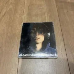 ブランキージェットシティ 邦楽