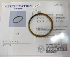本べっ甲 バングル ブレスレット 鼈甲 黒甲 茨布甲 和装 アンティーク 