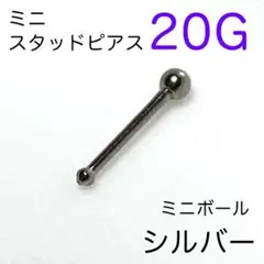 Item thumbnail for item ed0331a8-f723-4f5e-9b52-a583d8553117