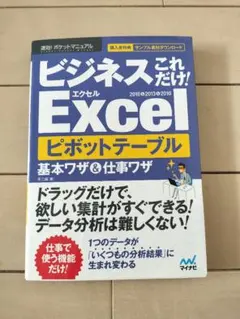 ビジネスこれだけ! Excel ピボットテーブル