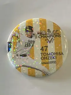 ホークスシークレットホログラム缶バッジ47大関友久