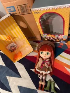 2025年最新】ブライス モッドモーリーの人気アイテム - メルカリ