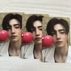 ENHYPEN ソンフン THE SIN : VANISH 封入トレカ