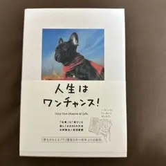 人生はワンチャンス! 「仕事」も「遊び」も楽しくなる65の方法
