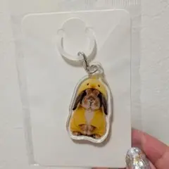 たれみみ稲荷チャーム いちご