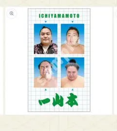 【開封済】大相撲　NEW！証明写真風ステッカーvol.1　一山本