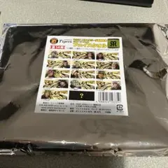 阪神タイガース優勝フェイスタオル　シークレット　中野選手