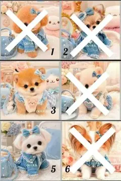 オーダーページ パネル わんこ 6犬種 8.6.10 - メルカリ