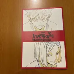 【新品未使用！未開封】ハイキュー‼︎劇場版特典　ゴミ捨て場の決戦　パンフレット