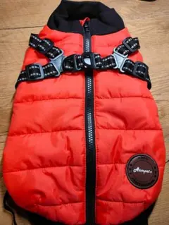 Item thumbnail for item 4c5a8081-3086-482f-b024-3fd25a7e5c6f