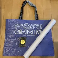 RIP SLYME 25周年ライブ 初日 入場者限定グッズ - メルカリ