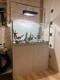 2025年最新】ada メタハラの人気アイテム - メルカリ