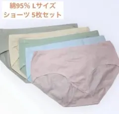 【極上の肌触り】綿95% 抗菌・防臭 ショーツ 5色セット 3D立体構造 L