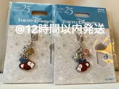 新品 東京ディズニーリゾート 25周年 ダッフィー シェリーメイ チャーム