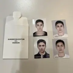 成分エディター 特典 バーノン 証明写真 4枚