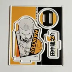 ハイキュー アクリルフィギュアコレクション 烏野高校 田中 龍之介