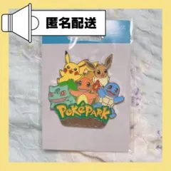 ポケパークカントー限定ピンズ ピカチュウイーブイ