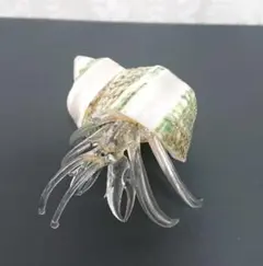 クラゲと貝殻のバレッタ