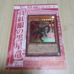 真紅眼の黒星竜　1枚