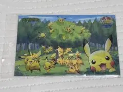 PokePark 2005 ピカチュウの森 アドベンチャーカード - メルカリ