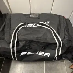 Item thumbnail for item 701cd24b-0bf4-490e-b4fe-a43cbf57ecf0