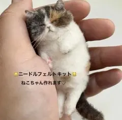 ぬいぐるみ キット