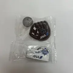 2025年最新】ana ピンバッジの人気アイテム - メルカリ