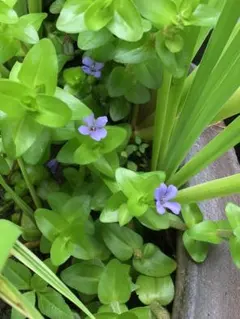 cx99so19様 リクエスト 2点 まとめ商品