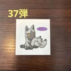 らむ様　37弾②ポケモンデコキャラシール　ポケモンパンシール ポケモンシール