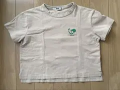 子ども 半袖Tシャツ 105のサムネイル