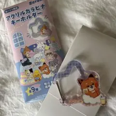 zeroni アクリルカラビナキーホルダー thewnini