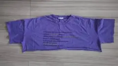 SPINNS パープル メッセージTシャツ クロップド丈 ダンス ストリート