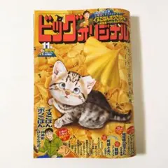 ビッグコミックオリジナル11月増刊号