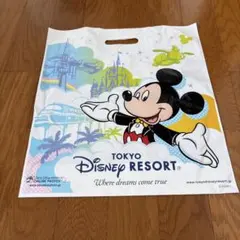 東京ディズニーリゾート ミッキーマウス ショップ袋