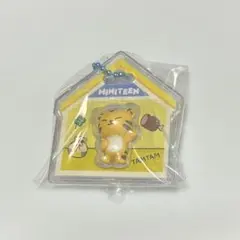 miniteen パッケージチャーム　ホシのサムネイル