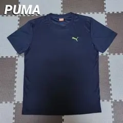 Item thumbnail for item 5e1afdcb-087b-49f2-b8e4-437ddff07c50