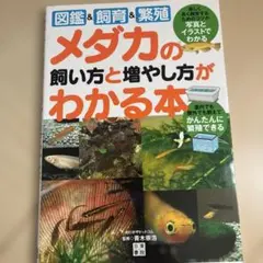 Item thumbnail for item 6f932d79-9365-473d-98ca-51464c0d8cb8