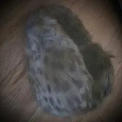 豹柄☆イヤーマフラー