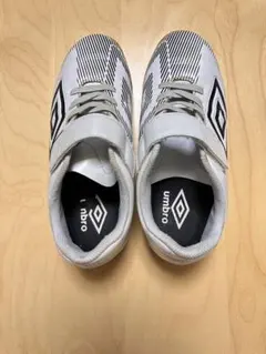 Item thumbnail for item 3985f4d5-3657-4746-a314-1139904b0fb9