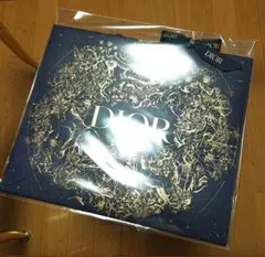 DIOR ホリデー限定ショッパー2022 【新品未使用】