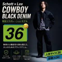 Schott OLDヒッコリーデニム ブラック 34インチ - メルカリ