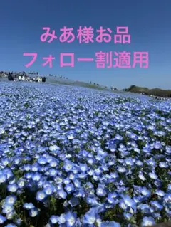 レディース　夏用　シースルー　ショートソックス　3足　23cm