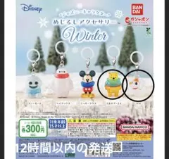 ディズニーキャラクター めじるしアクセサリー Winter プーさん　ゼロ　新品