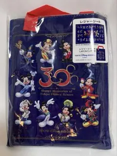 ディズニー 年間パスポート 年パス パスケース 30周年 ディズニー 年間パスポート 年パス パスケース 30周年 新品