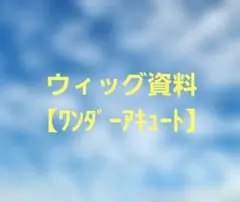 ながれ様ご確認用 ウィッグ資料ワンダーアキュート