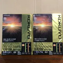 KOKUYO プロフェッショナル写真用紙 A4 30枚×2