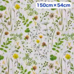 acufactumプリント生地 150cm×54cm【ボタニカル】綿100%