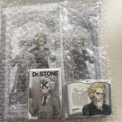 Dr.STONE スタンリー ゼノ 缶バッジ ブック風フラットポーチ