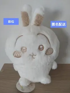 ちいかわ ぬいぱれっと～ミルクいろ～ぬいぐるみ② うさぎ